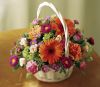 FTD_C50-3464_Celebration_Arrangement.jpg
