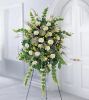 Filename=FuneralCD1.jpg
Filesize=23KB
Dimensions=330x370
Date added=Sep 16, 2008 FuneralCD1.jpg