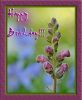 Filename=HappyBD14a.jpg
Filesize=89KB
Dimensions=580x700
Date added=Aug 13, 2008 HappyBD14a.jpg