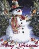 Filename=cc47.gif
Filesize=139KB
Dimensions=450x566
Date added=Dec 20, 2008 cc47.gif